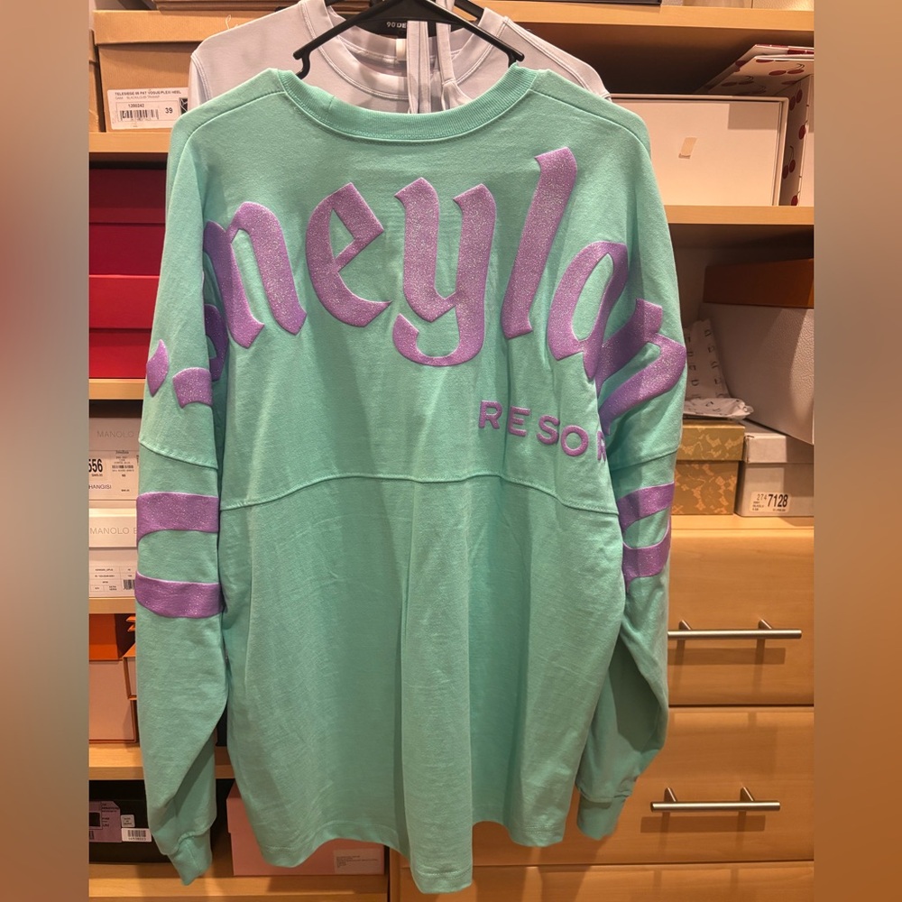Disney Mint Green and Lavender Women's Spirit Jersey